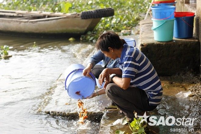 thacatienongTaovetroi (18)