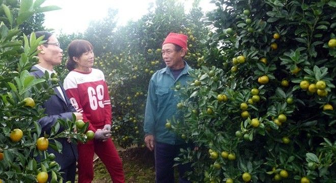 Ông Phạm Văn Kiệm, triệu phú quất của xã.