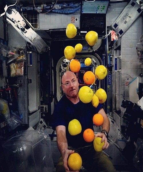 phihanhgiachupanhTPHCM (10)