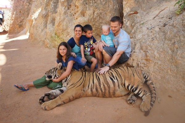 12tigertemple