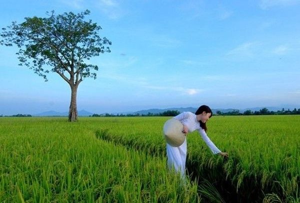 Phong cảnh miền quê yên bình và dung dị ở Phú Yên. Ảnh: Lê Minh