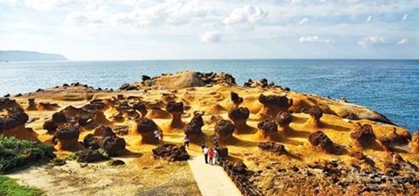 Những chiếc nấm mọc trên bãi biển Dã Liễu.