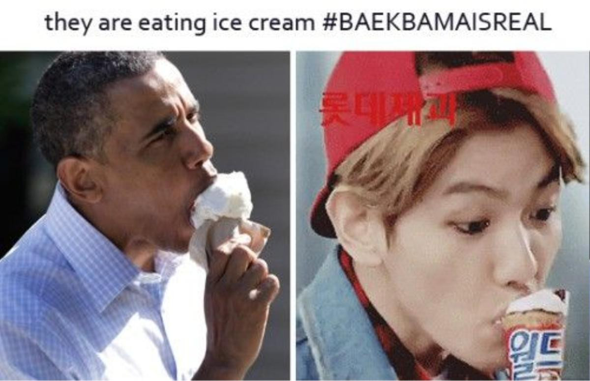 baekbama5