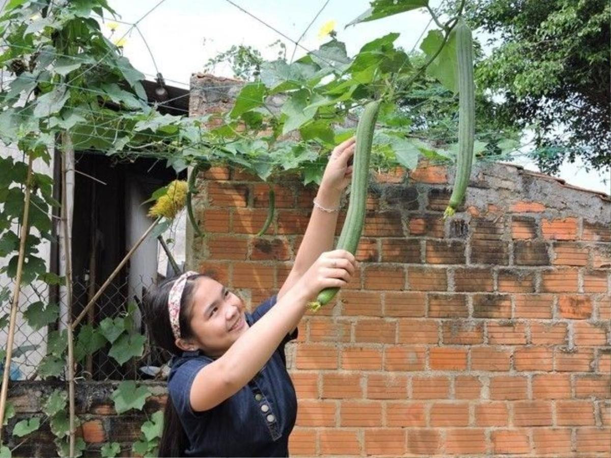 Thiện Nhân chia sẻ suốt một năm học tập và sinh hoạt tại TP HCM, nhưng em lúc nào cũng nhớ và muốn về nhà để được sống trong vòng tay của ba mẹ. Do đó, những ngày Tết này là khoảng thời gian được em trông chờ nhiều nhất trong năm.